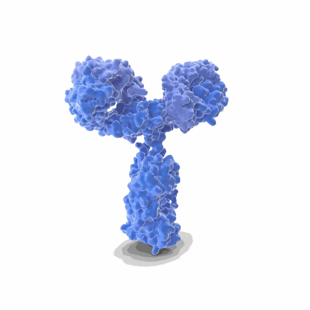 Anti-GLAST antibody - 100µg