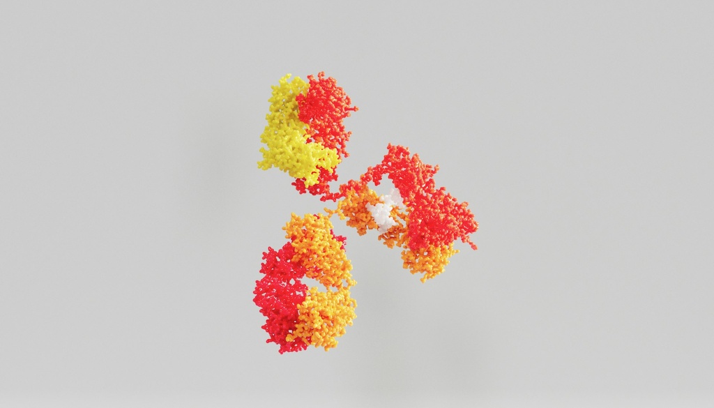 pan Cadherin Antibody  