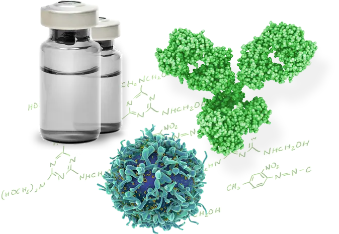 VHL  Antibody