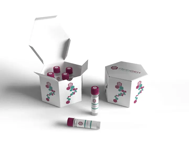 Mycoplasma ELISA KIT|Human  - 96tests