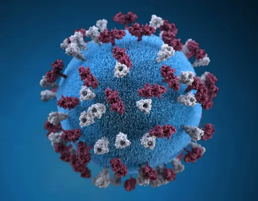 [ABD13126] INPP5J Antibody - 100µg