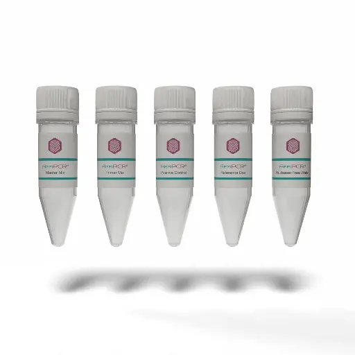 [MD200] MycoDect™ Mycoplasma Detection Kit  -  1 Kit