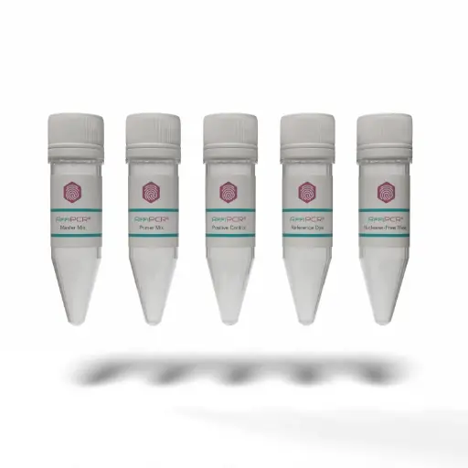 [Affi-260652] AffiPCR® MycoDetect Kit