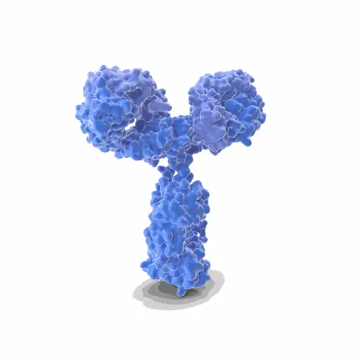 [PAab03475] Anti-GLAST antibody - 100µg