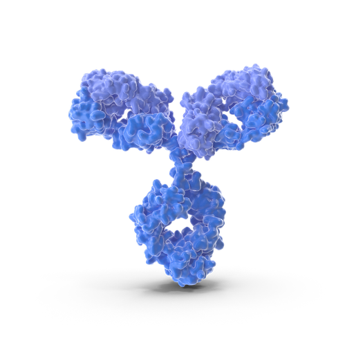 [BF0004] SFTPC antibody
