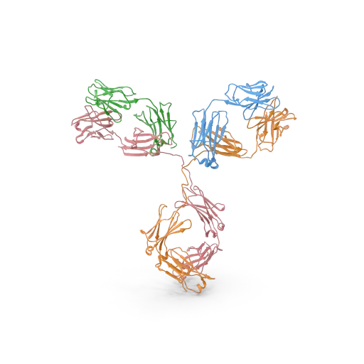 [ABD2359] MAPK12 Antibody - 100µg