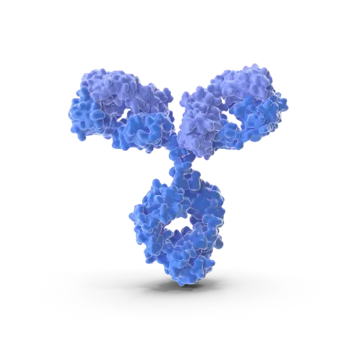 [ABD2467] MIXL1 Antibody - 100µg