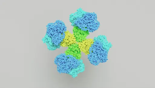 [ABD2588] CC2D1A Antibody