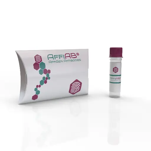 [ABD3020] PHF1 Antibody - 100µg