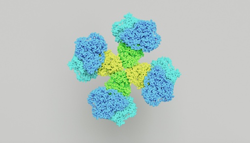 [T0020] V5- Tag Mouse Monoclonal Antibody